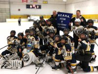 Richmond Minor Atom A2  league banner